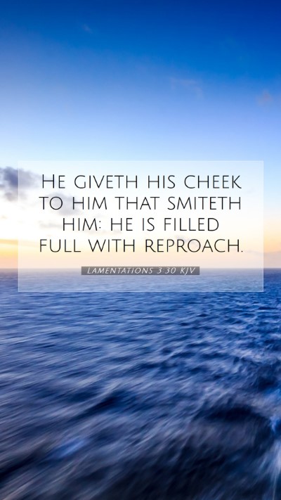 Picture 07 - Lamentations 3:30 KJV Mobile Phone Wallpaper - He giveth his cheek to him that smiteth him: he - Mobile Bible Verse Wallpaper