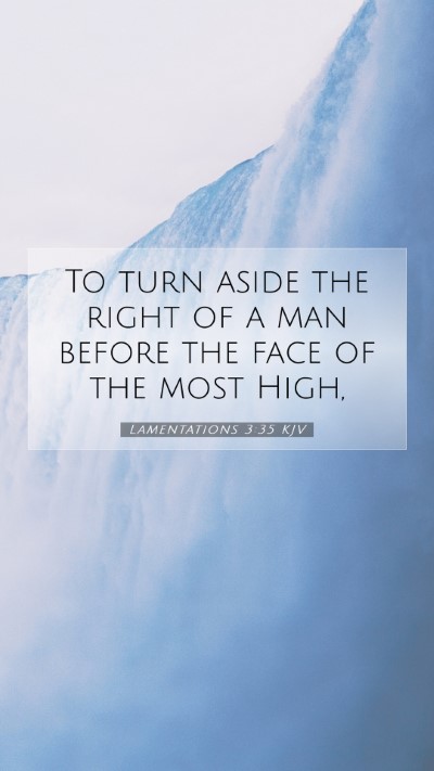 Picture 07 - Lamentations 3:35 KJV Mobile Phone Wallpaper - To turn aside the right of a man before the face - Mobile Bible Verse Wallpaper