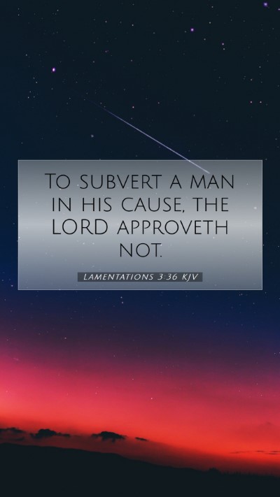 Picture 07 - Lamentations 3:36 KJV Mobile Phone Wallpaper - To subvert a man in his cause, the LORD approveth - Mobile Bible Verse Wallpaper