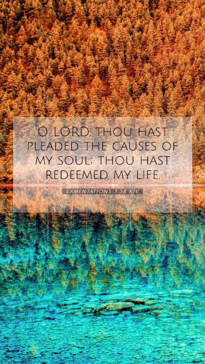 Picture 07 - Lamentations 3:58 KJV Mobile Phone Wallpaper - O LORD, thou hast pleaded the causes of my soul; - Mobile Bible Verse Wallpaper