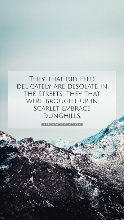Picture 07 - Lamentations 4:5 KJV Mobile Phone Wallpaper - They that did feed delicately are desolate in the - Mobile Bible Verse Wallpaper
