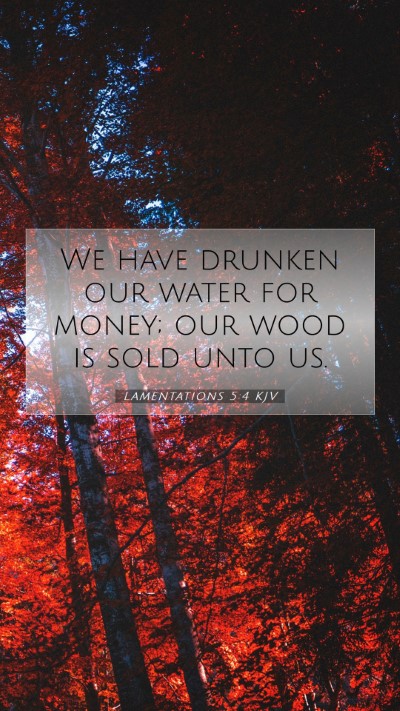 Picture 07 - Lamentations 5:4 KJV Mobile Phone Wallpaper - We have drunken our water for money; our wood is - Mobile Bible Verse Wallpaper