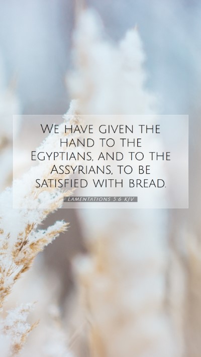 Picture 07 - Lamentations 5:6 KJV Mobile Phone Wallpaper - We have given the hand to the Egyptians, and to - Mobile Bible Verse Wallpaper