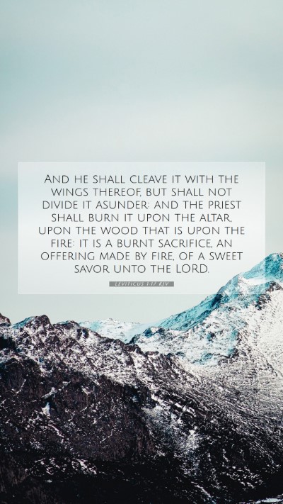 Picture 07 - Leviticus 1:17 KJV Mobile Phone Wallpaper - And he shall cleave it with the wings thereof, - Mobile Bible Verse Wallpaper