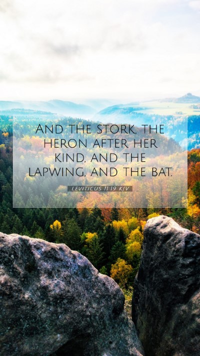 Picture 07 - Leviticus 11:19 KJV Mobile Phone Wallpaper - And the stork, the heron after her kind, and the - Mobile Bible Verse Wallpaper