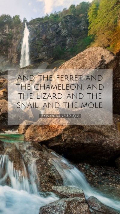 Picture 07 - Leviticus 11:30 KJV Mobile Phone Wallpaper - And the ferret, and the chameleon, and the - Mobile Bible Verse Wallpaper