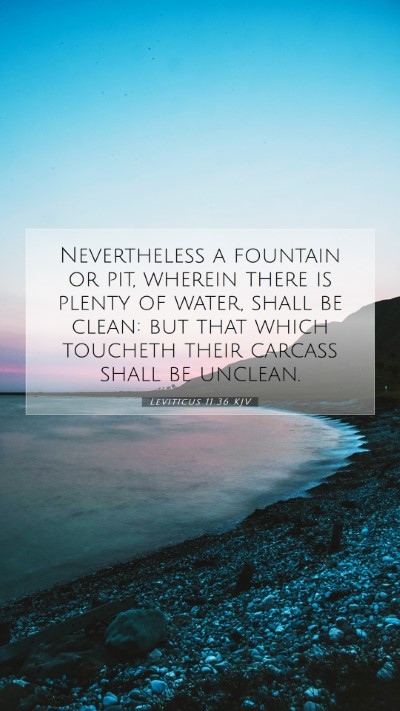 Picture 07 - Leviticus 11:36 KJV Mobile Phone Wallpaper - Nevertheless a fountain or pit, wherein there is - Mobile Bible Verse Wallpaper
