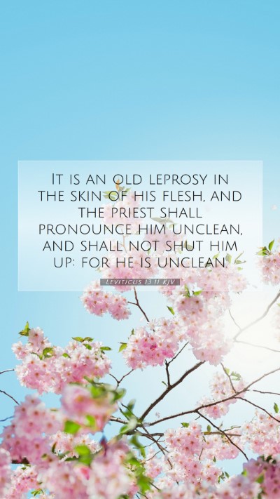 Picture 07 - Leviticus 13:11 KJV Mobile Phone Wallpaper - It is an old leprosy in the skin of his flesh, - Mobile Bible Verse Wallpaper