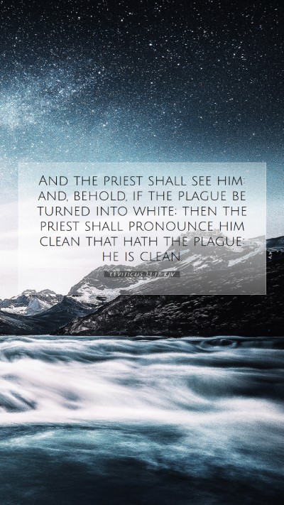 Picture 07 - Leviticus 13:17 KJV Mobile Phone Wallpaper - And the priest shall see him: and, behold, if the - Mobile Bible Verse Wallpaper