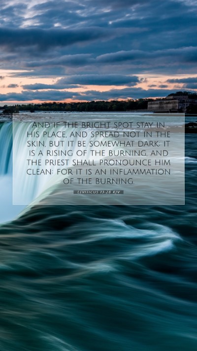 Picture 07 - Leviticus 13:28 KJV Mobile Phone Wallpaper - And if the bright spot stay in his place, and - Mobile Bible Verse Wallpaper
