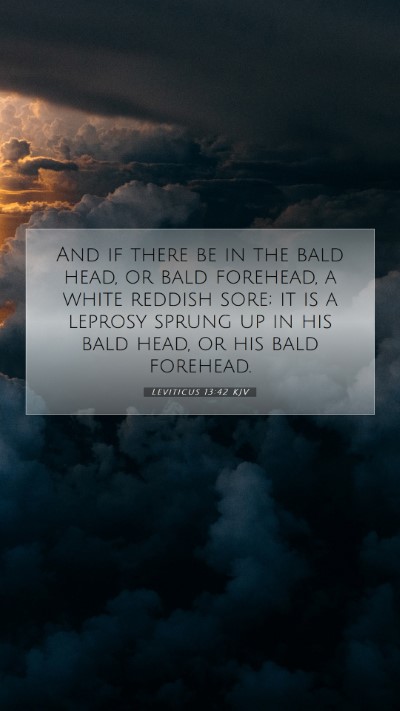 Picture 07 - Leviticus 13:42 KJV Mobile Phone Wallpaper - And if there be in the bald head, or bald - Mobile Bible Verse Wallpaper
