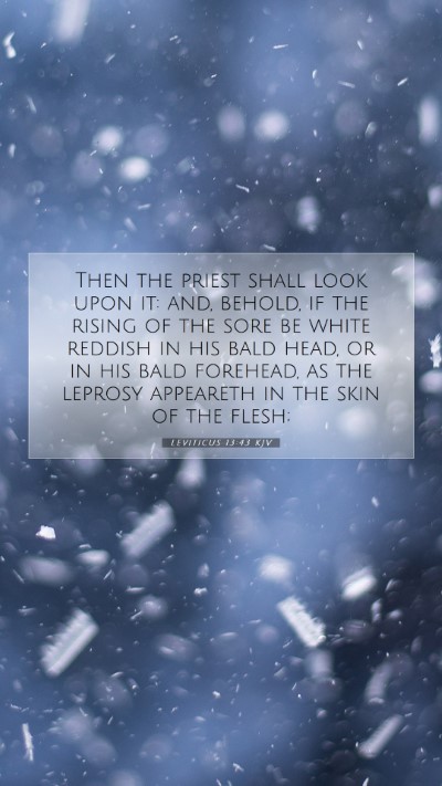 Picture 07 - Leviticus 13:43 KJV Mobile Phone Wallpaper - Then the priest shall look upon it: and, behold, - Mobile Bible Verse Wallpaper