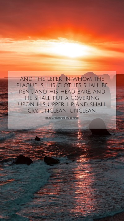 Picture 07 - Leviticus 13:45 KJV Mobile Phone Wallpaper - And the leper in whom the plague is, his clothes - Mobile Bible Verse Wallpaper