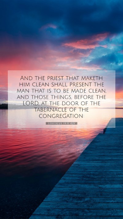 Picture 07 - Leviticus 14:11 KJV Mobile Phone Wallpaper - And the priest that maketh him clean shall - Mobile Bible Verse Wallpaper