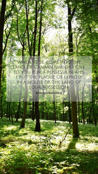 Picture 07 - Leviticus 14:34 KJV Mobile Phone Wallpaper - When ye be come into the land of Canaan, which I - Mobile Bible Verse Wallpaper