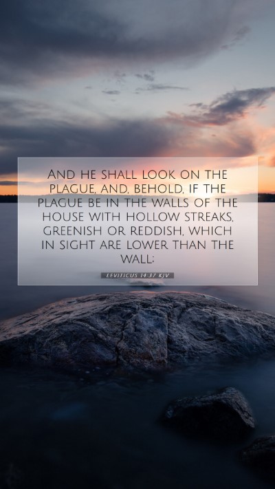 Picture 07 - Leviticus 14:37 KJV Mobile Phone Wallpaper - And he shall look on the plague, and, behold, if - Mobile Bible Verse Wallpaper