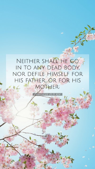 Picture 07 - Leviticus 21:11 KJV Mobile Phone Wallpaper - Neither shall he go in to any dead body, nor - Mobile Bible Verse Wallpaper