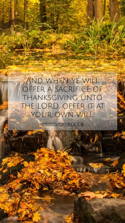 Picture 07 - Leviticus 22:29 KJV Mobile Phone Wallpaper - And when ye will offer a sacrifice of - Mobile Bible Verse Wallpaper