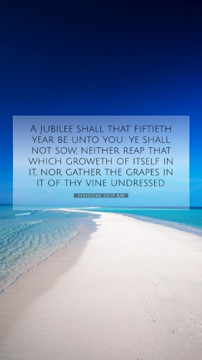 Picture 07 - Leviticus 25:11 KJV Mobile Phone Wallpaper - A jubilee shall that fiftieth year be unto you: - Mobile Bible Verse Wallpaper