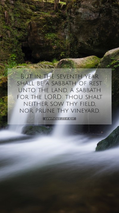 Picture 07 - Leviticus 25:4 KJV Mobile Phone Wallpaper - But in the seventh year shall be a sabbath of - Mobile Bible Verse Wallpaper