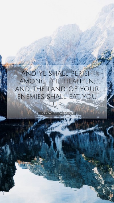 Picture 07 - Leviticus 26:38 KJV Mobile Phone Wallpaper - And ye shall perish among the heathen, and the - Mobile Bible Verse Wallpaper