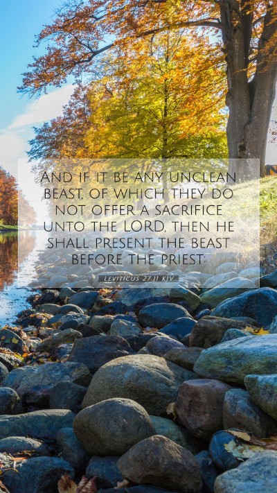 Picture 07 - Leviticus 27:11 KJV Mobile Phone Wallpaper - And if it be any unclean beast, of which they do - Mobile Bible Verse Wallpaper