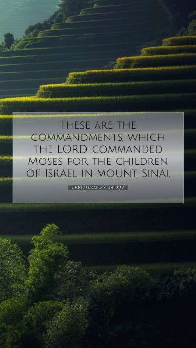Picture 07 - Leviticus 27:34 KJV Mobile Phone Wallpaper - These are the commandments, which the LORD - Mobile Bible Verse Wallpaper