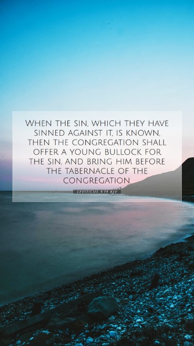 Picture 07 - Leviticus 4:14 KJV Mobile Phone Wallpaper - When the sin, which they have sinned against it, - Mobile Bible Verse Wallpaper