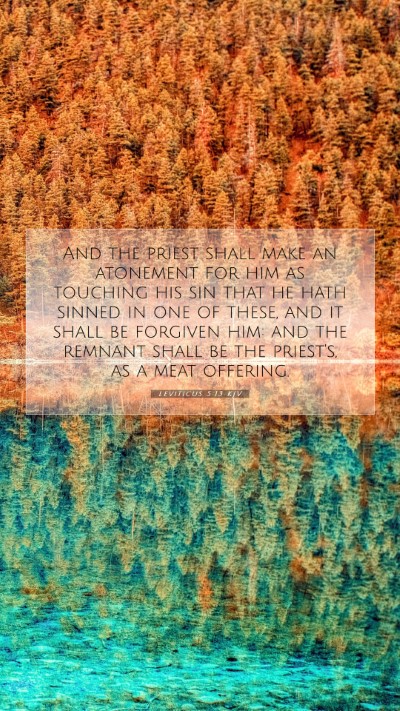 Picture 07 - Leviticus 5:13 KJV Mobile Phone Wallpaper - And the priest shall make an atonement for him as - Mobile Bible Verse Wallpaper