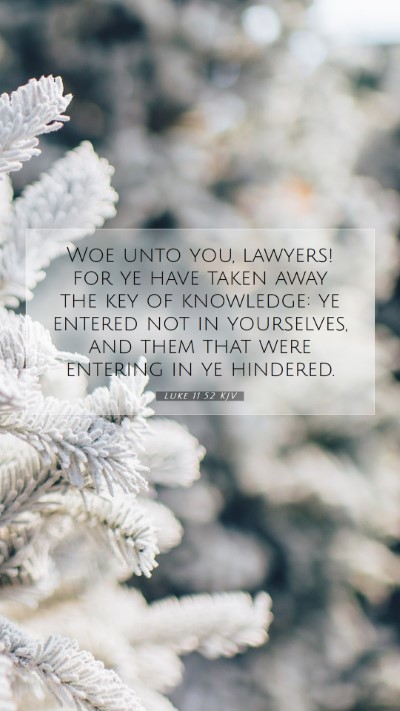 Picture 07 - Luke 11:52 KJV Mobile Phone Wallpaper - Woe unto you, lawyers! for ye have taken away the - Mobile Bible Verse Wallpaper