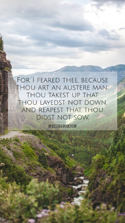 Picture 07 - Luke 19:21 KJV Mobile Phone Wallpaper - For I feared thee, because thou art an austere - Mobile Bible Verse Wallpaper
