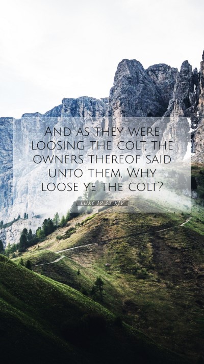 Picture 07 - Luke 19:33 KJV Mobile Phone Wallpaper - And as they were loosing the colt, the owners - Mobile Bible Verse Wallpaper