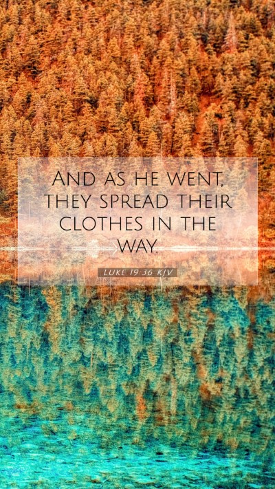 Picture 07 - Luke 19:36 KJV Mobile Phone Wallpaper - And as he went, they spread their clothes in the - Mobile Bible Verse Wallpaper