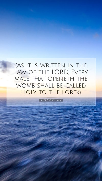 Picture 07 - Luke 2:23 KJV Mobile Phone Wallpaper - (As it is written in the law of the LORD, Every - Mobile Bible Verse Wallpaper
