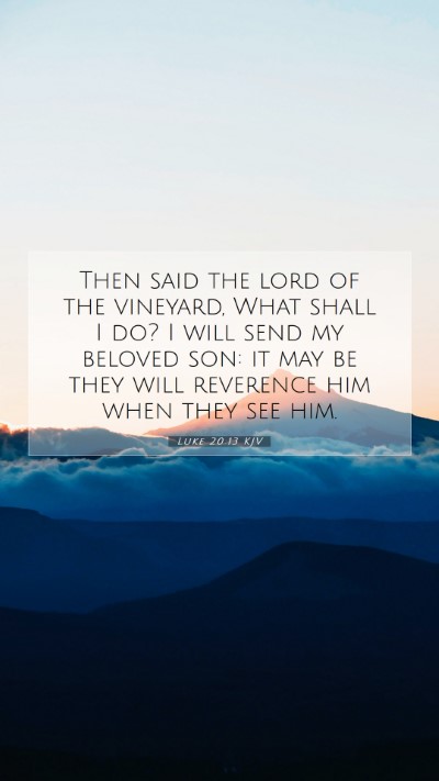 Picture 07 - Luke 20:13 KJV Mobile Phone Wallpaper - Then said the lord of the vineyard, What shall I - Mobile Bible Verse Wallpaper