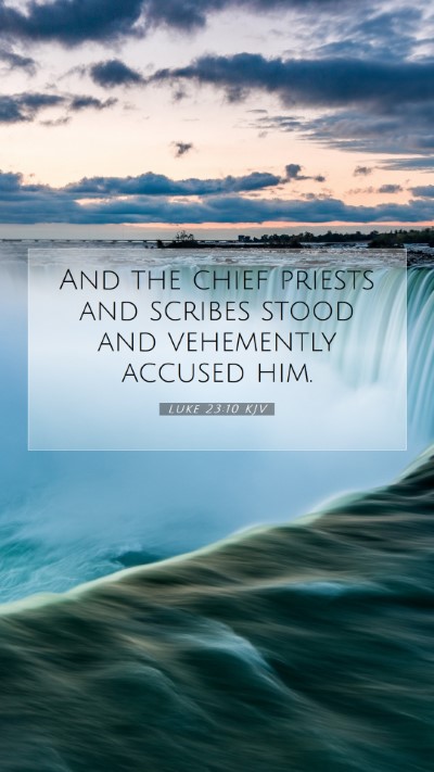 Picture 07 - Luke 23:10 KJV Mobile Phone Wallpaper - And the chief priests and scribes stood and - Mobile Bible Verse Wallpaper