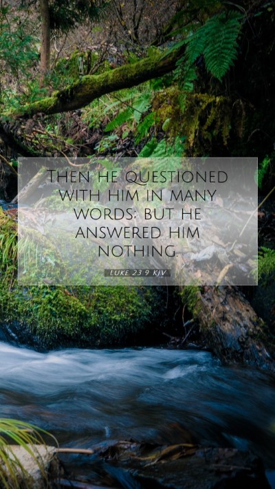 Picture 07 - Luke 23:9 KJV Mobile Phone Wallpaper - Then he questioned with him in many words; but he - Mobile Bible Verse Wallpaper