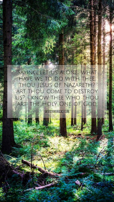 Picture 07 - Luke 4:34 KJV Mobile Phone Wallpaper - Saying, Let us alone; what have we to do with - Mobile Bible Verse Wallpaper