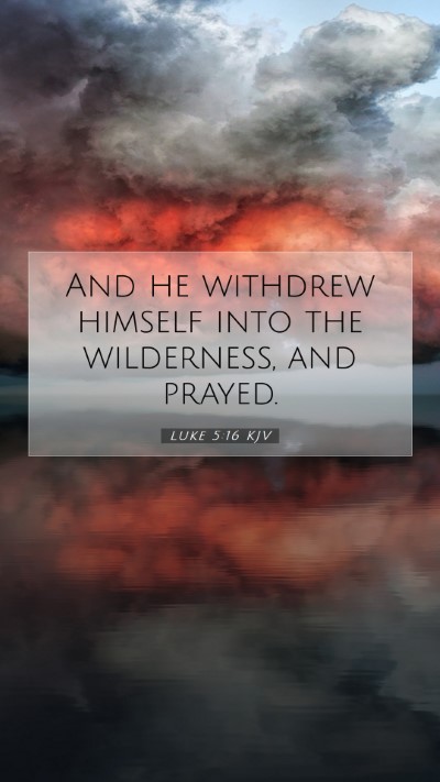 Picture 07 - Luke 5:16 KJV Mobile Phone Wallpaper - And he withdrew himself into the wilderness, and - Mobile Bible Verse Wallpaper