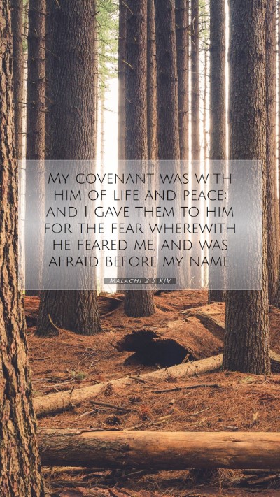 Picture 07 - Malachi 2:5 KJV Mobile Phone Wallpaper - My covenant was with him of life and peace; and I - Mobile Bible Verse Wallpaper