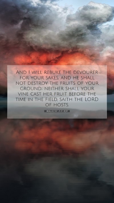Picture 07 - Malachi 3:11 KJV Mobile Phone Wallpaper - And I will rebuke the devourer for your sakes, - Mobile Bible Verse Wallpaper