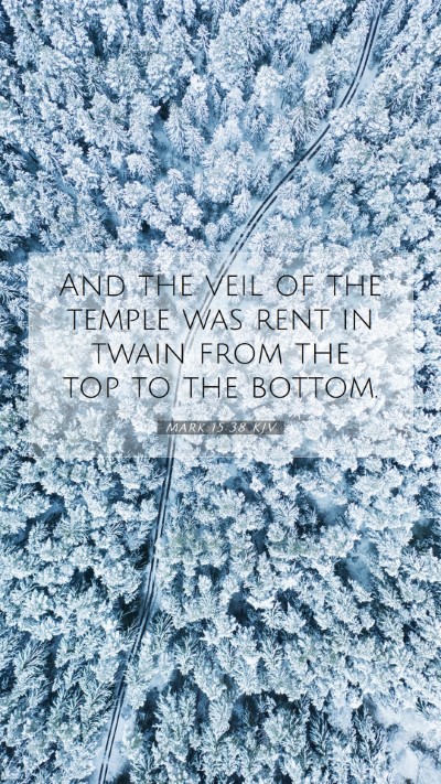 Picture 07 - Mark 15:38 KJV Mobile Phone Wallpaper - And the veil of the temple was rent in twain from - Mobile Bible Verse Wallpaper