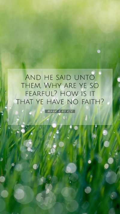 Picture 07 - Mark 4:40 KJV Mobile Phone Wallpaper - And he said unto them, Why are ye so fearful? how - Mobile Bible Verse Wallpaper