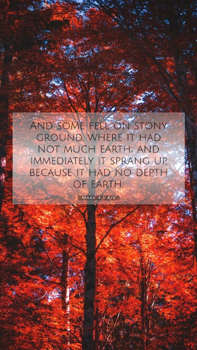 Picture 07 - Mark 4:5 KJV Mobile Phone Wallpaper - And some fell on stony ground, where it had not - Mobile Bible Verse Wallpaper