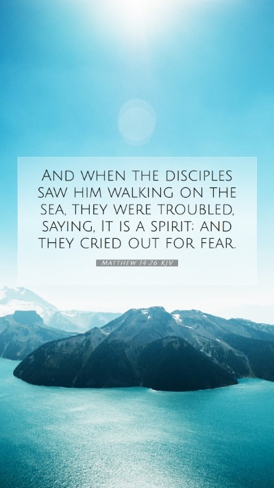 Picture 07 - Matthew 14:26 KJV Mobile Phone Wallpaper - And when the disciples saw him walking on the - Mobile Bible Verse Wallpaper