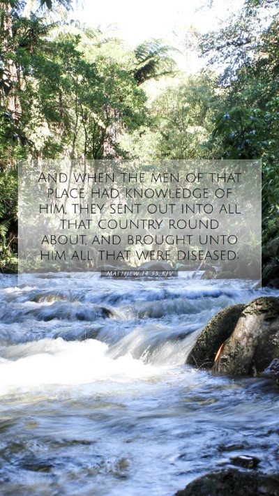 Picture 07 - Matthew 14:35 KJV Mobile Phone Wallpaper - And when the men of that place had knowledge of - Mobile Bible Verse Wallpaper