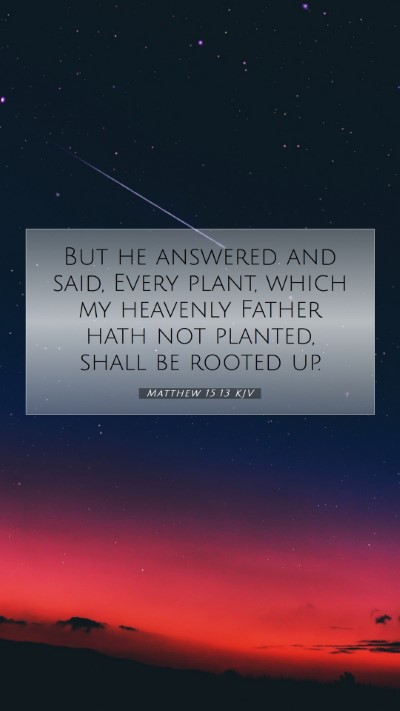 Picture 07 - Matthew 15:13 KJV Mobile Phone Wallpaper - But he answered and said, Every plant, which my - Mobile Bible Verse Wallpaper
