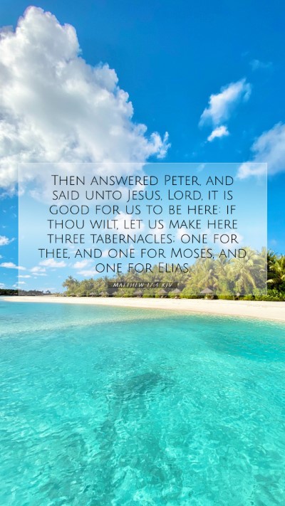 Picture 07 - Matthew 17:4 KJV Mobile Phone Wallpaper - Then answered Peter, and said unto Jesus, Lord, - Mobile Bible Verse Wallpaper