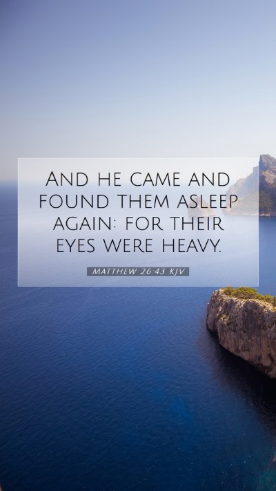 Picture 07 - Matthew 26:43 KJV Mobile Phone Wallpaper - And he came and found them asleep again: for - Mobile Bible Verse Wallpaper