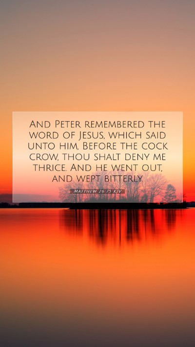 Picture 07 - Matthew 26:75 KJV Mobile Phone Wallpaper - And Peter remembered the word of Jesus, which - Mobile Bible Verse Wallpaper